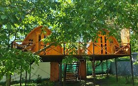 Cabañas Peñaflor Glamping